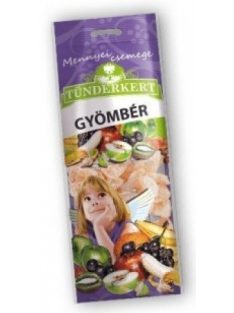 Tündérkert Szárított Gyömbér 100 g