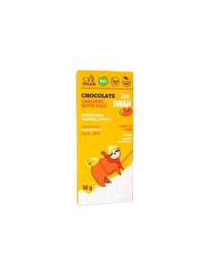 Fudgio Csokoládé sós karamellás Bio 50g 