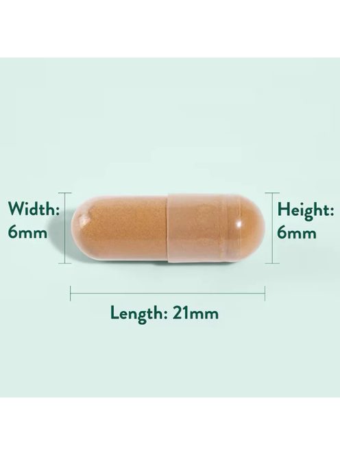 H&B Astragalus kapszula 470mg 90 db 