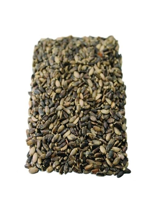 Gyógyfű Máriatövismag Tea 50 g
