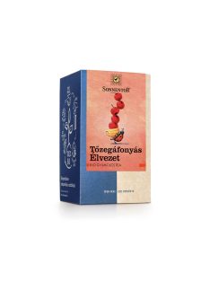 Sonnentor Bio filteres Áfonya Örömgyümölcs Tea 18db 