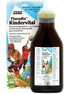 Salus Floradix Kindervital Szirup 250 ml