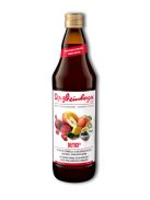 Dr. Steinberger Bio Detox Ital 750 ml