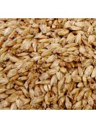 PRANA Kerek Tönkölyhéj + Imagine Collection huzat 36x12 cm kerek -- PÁRNA ÉS HUZAT EGYBEN