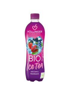 Höllinger Bio Erdei gyümölcsös Ice tea 500 ml 