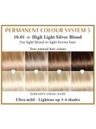 Hairwonder by HennaPlus női tartós hajfesték, szőkés árnyalat, ezüstszőke (10.01) (Long Lasting Colour, High Light Silver Blond)