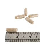 H&B Ginkgo Biloba kapszula 120 mg 30 db 