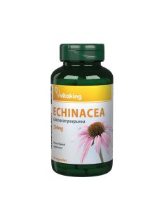 Vitaking echinacea kapszula 90 db