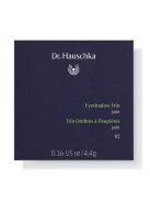 Dr. Hauschka Szemhéjpúder trió 02 (jáde) 4,4 g