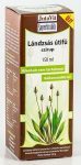 Jutavit Lándzsás Útifű Szirup 100+50 ml Jutavit Lándzsás Útifű Szirup 100+50 ml