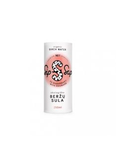 SipSap Bio Nyírfavíz rebarbarás 250ml papír dobozos 