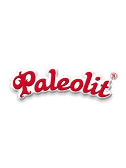 Paleolit