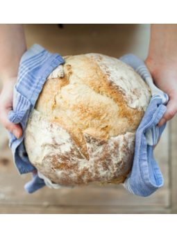 Gluténmentes kenyéralap